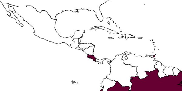 map of Dryinus ruficauda     (Richards, 1953)